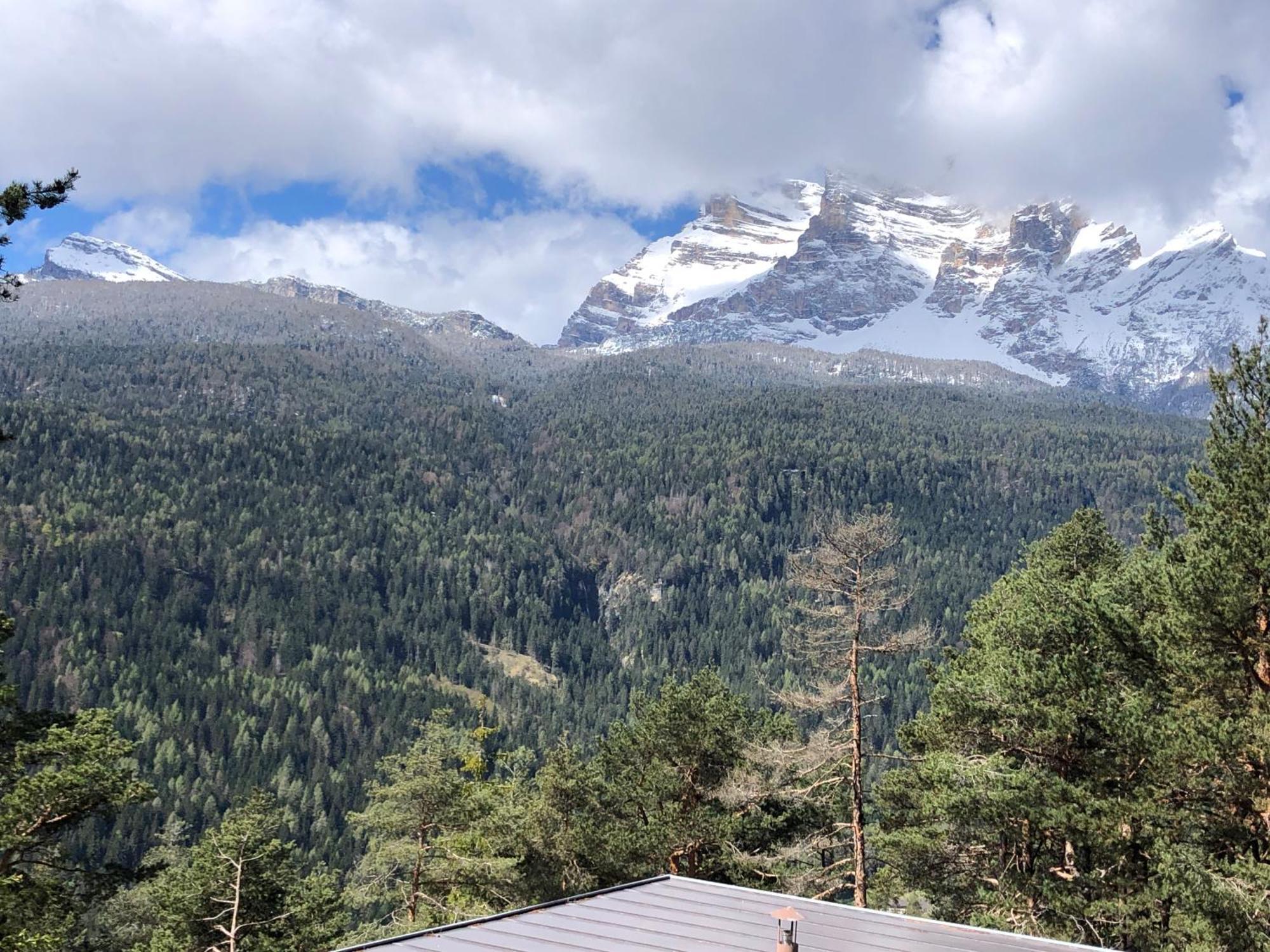 Lioda Tree Villa Borca di Cadore Exterior photo